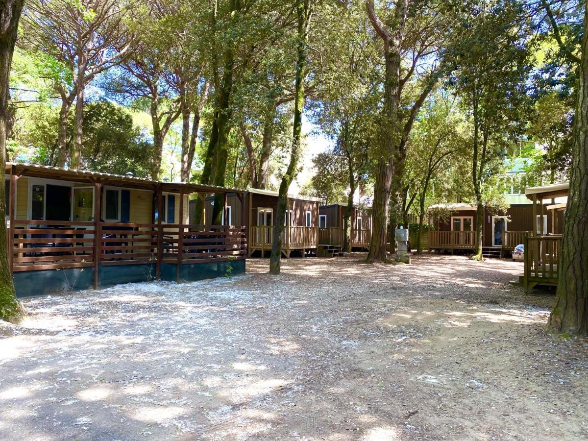 Dena Chalets - Lido Di Spina At The Beach Exteriér fotografie